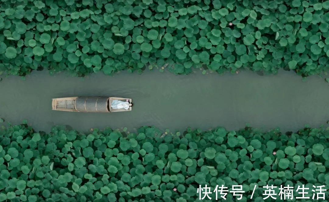 西洲|诗词鉴赏丨中国最美的十大名诗,一生至少要读一次