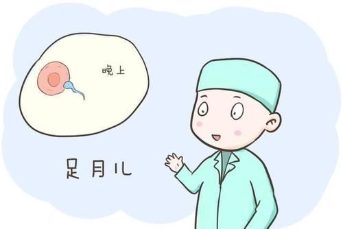 预产期|干货!为什么宝宝都喜欢在晚上出生?看完原因后觉得真是太有爱了