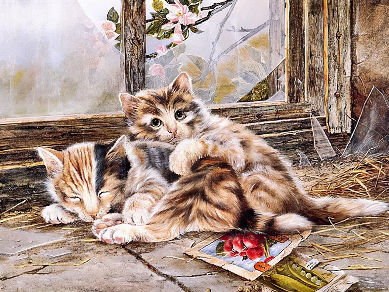 LUCIE@艺术家 LUCIE BILODEAU 画笔下的猫咪系列油画精致的实在太可爱了