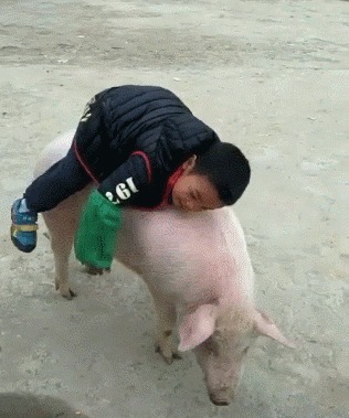 |搞笑GIF:吃货妹子真是伤不起啊,坐个席拿这么大的袋子呢