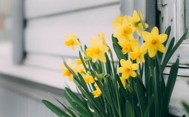 生活水平|未来一周,运势逆袭,喜事接二连三,生活水平直线上升