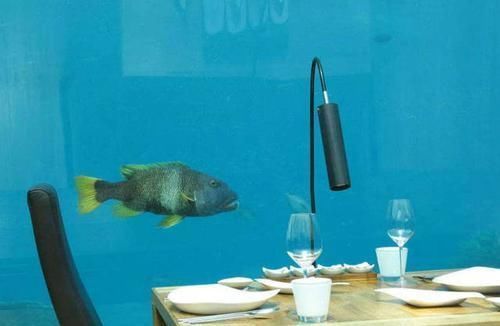 全球最深的水下酒店顾客能与鱼群共眠,一夜收费上万元