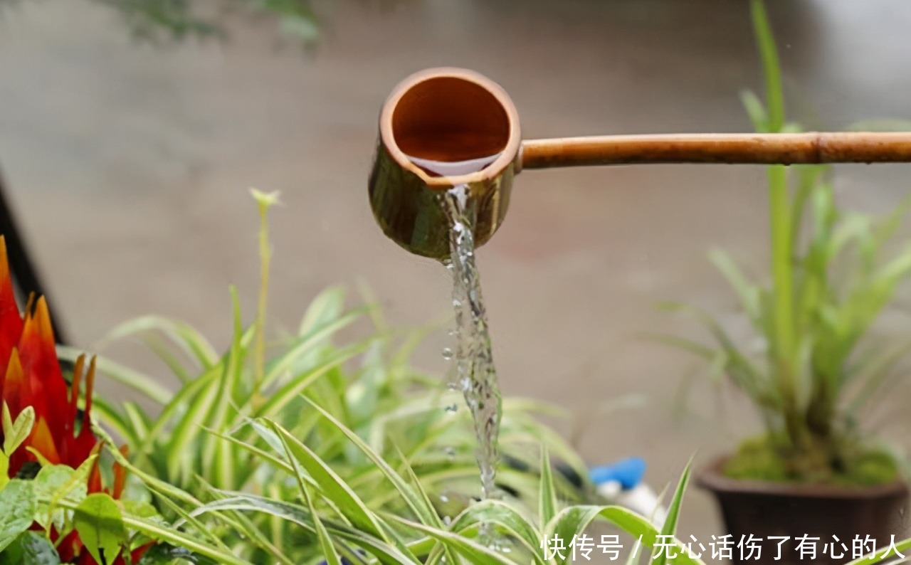 给花浇水时,这3点习惯不能有,不然土壤结块,花儿烂根