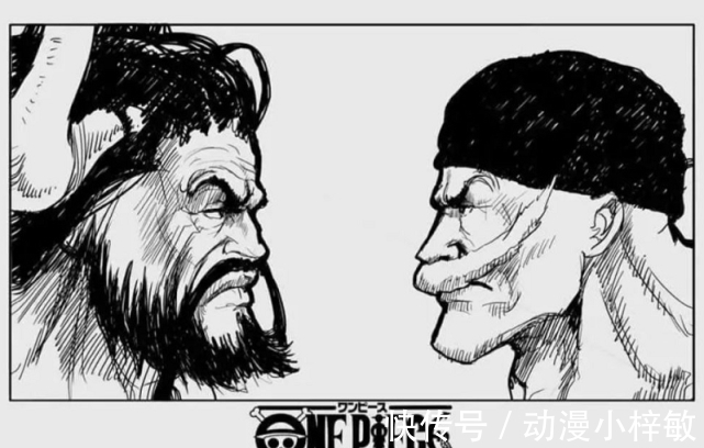 马尔科|海贼王:看到留在故乡的日记,马尔科才知道为啥老爹终生不娶,这都要怪凯多啦