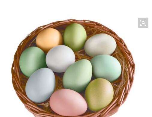 水煮蛋|要是每天吃鸡蛋会减少寿命医生提醒每周不要超过1个数