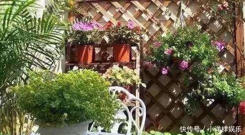 养花修剪“学问大”,老花匠教你怎么修剪,才能突突冒花!