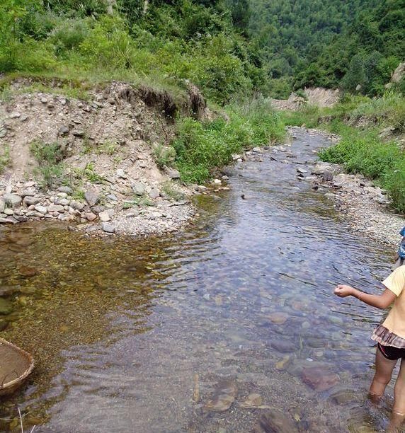 农村“穷养”多肉,一养一个大老桩,群生养爆盆