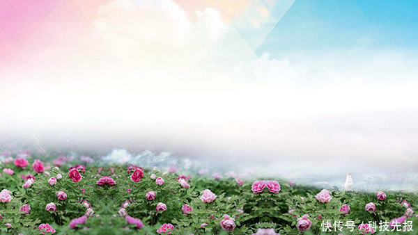 砥砺|龙池牡丹王封,以花为媒,不负众望,砥砺前行