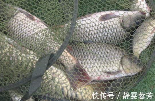 曲酒|野钓秘方窝料、饵料配方大揭秘，可以让你的鱼获翻倍哦