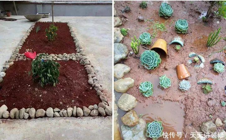 爸妈不在家,我在院子里疯狂种多肉,倍儿爽