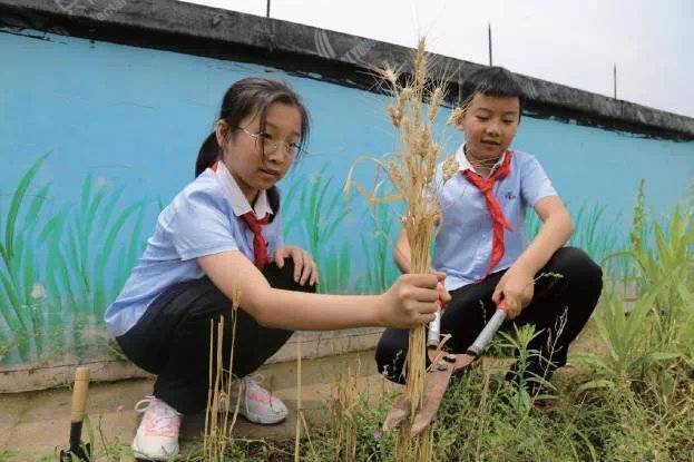 黄伟星|大司巷小学教育集团总校长黄伟星： 育人为本 打造小学和悦教育