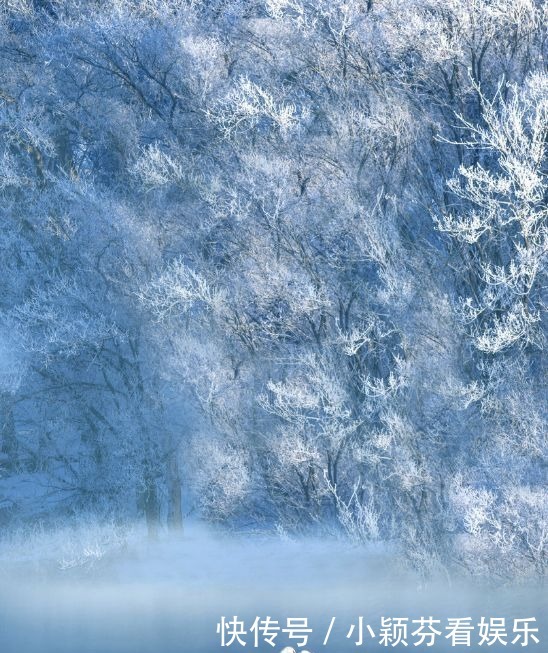 一首《可可托海的牧羊人》唱响春晚,让伊犁惊艳了全世界!