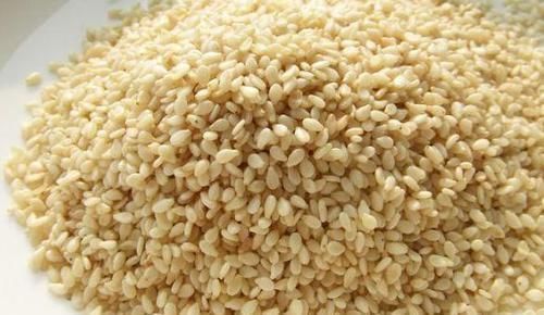 叶片|3种垃圾'一文不值',却对养花有用,可让植物叶片又绿又肥