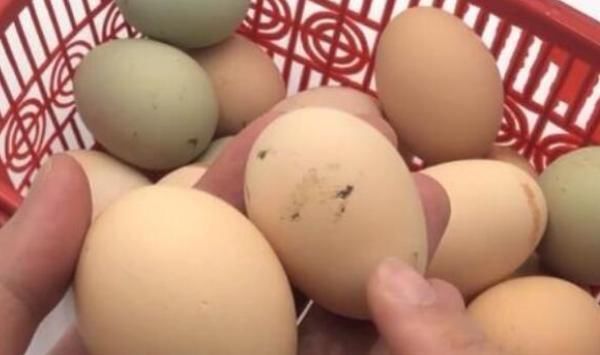 鸡蛋|这“4种鸡蛋”不能买,买了也要扔,别当作耳旁风,早知早受益