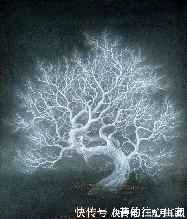 杉泽&90后画师把山海经异兽画活了,成功吸引1000多万粉