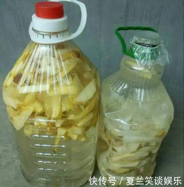 自制|分享养花技巧,7天自制“有机肥”,最有效最简单,养花最实用