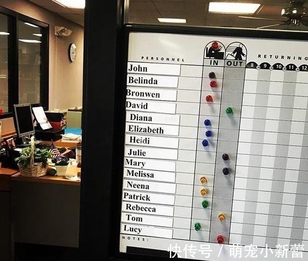 虎斑猫|大学聘请新图书管理员, 只卖萌不干活, 猫咪管理员吸引学生多读书