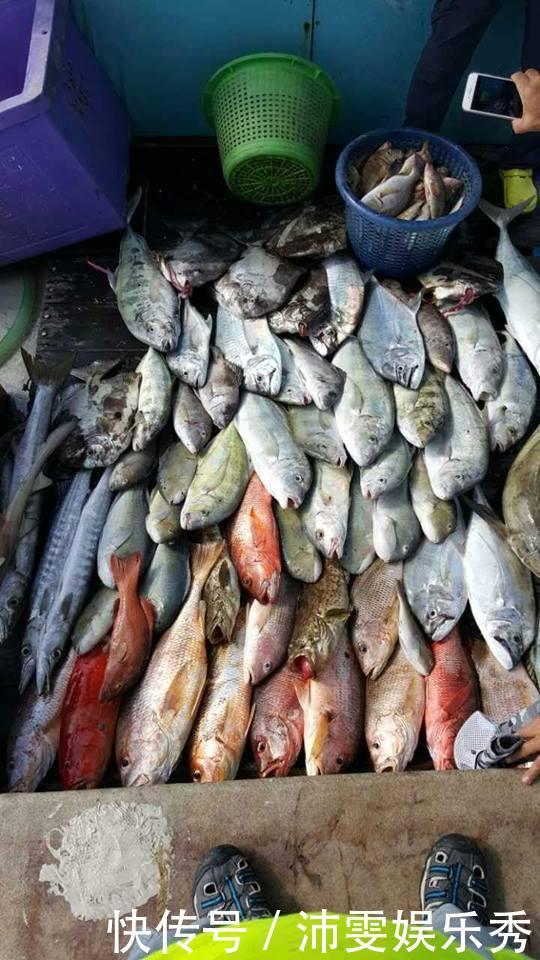 为了海钓我已经家徒四壁，除了钓鱼发家致富我已无别的选择