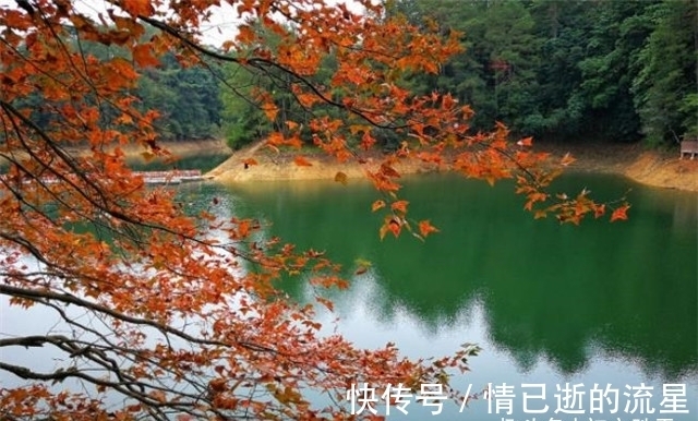 诗词!晚秋秋晴诗词五首赏读:秋水碧如玉,秋树红于花