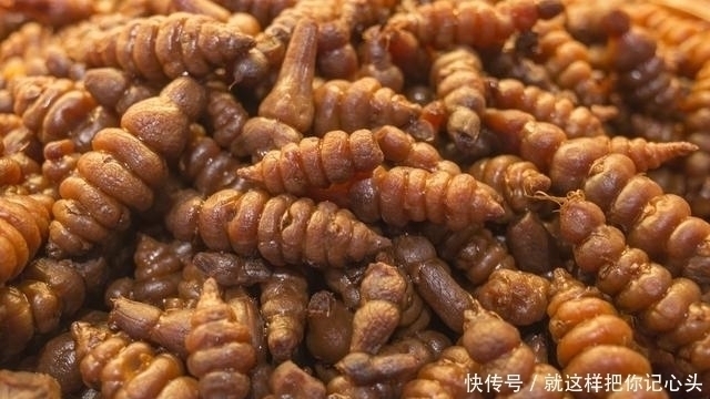 养阴清肺膏|理气消胀，和胃止痛、疏肝健脾，舌苔薄白10种常用中成药功效大全