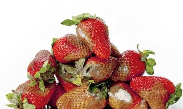 患癌人数与日俱增？医生强调：赶紧忌口这5物，再馋也别往嘴里塞