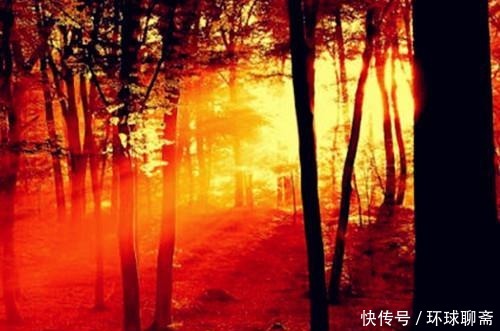 古典君|断鸿渺渺空银海,疏雨潇潇满玉楼;八首七律诗,已是天凉好个秋