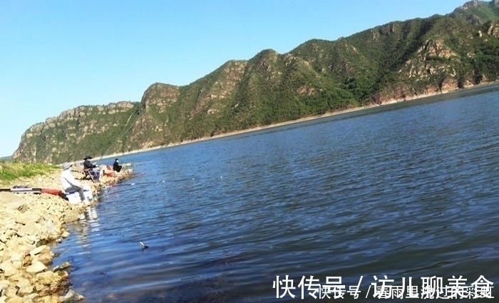 钓鱼|钓不好鲢鳙鱼,那就看看这些垂钓心得,对钓鱼帮助很大