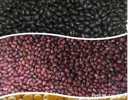 下锅|不管煮啥豆子,切记别直接下锅,多加这1步,保证5分钟就软烂开花
