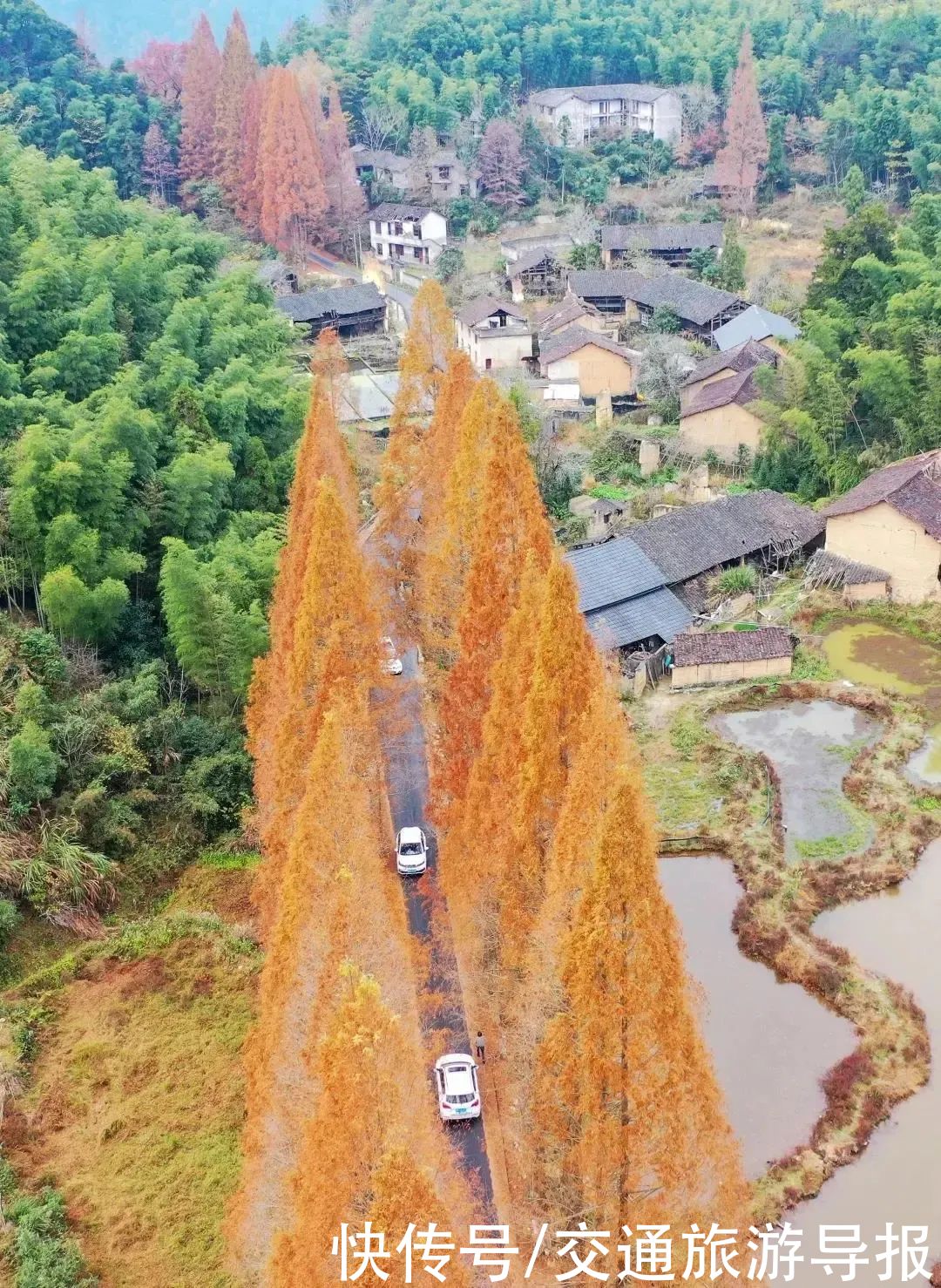 畲乡景宁：行在路上，别匆匆而过，这一路的风景，你留意过吗？