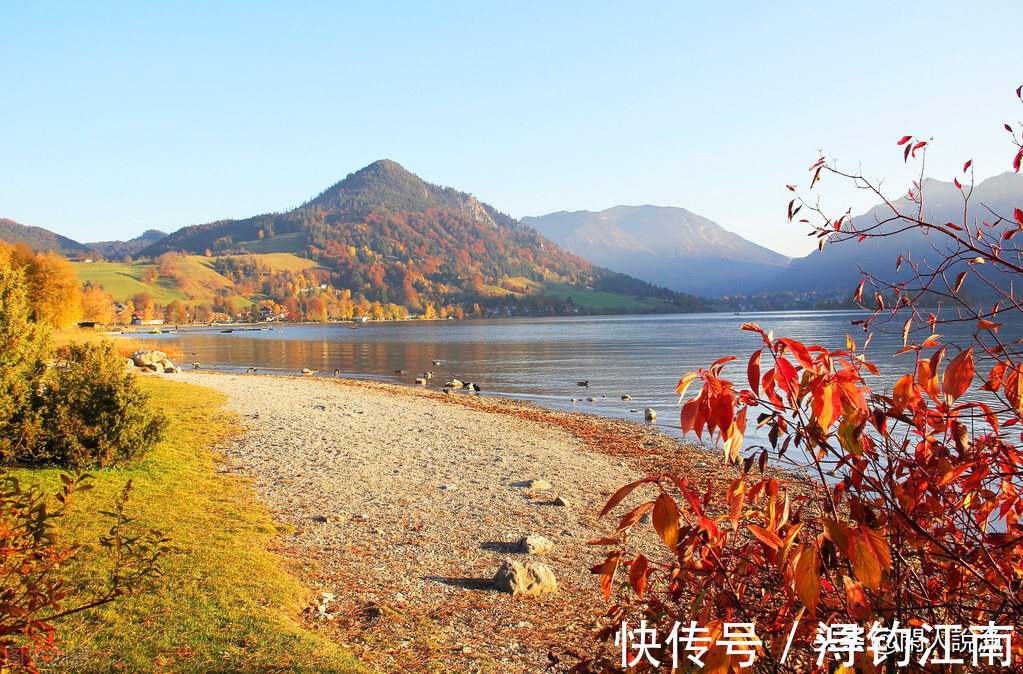 鱼儿|秋天的鱼都有贪食的弱点,如果你钓不上来,不妨来看看是哪里错了