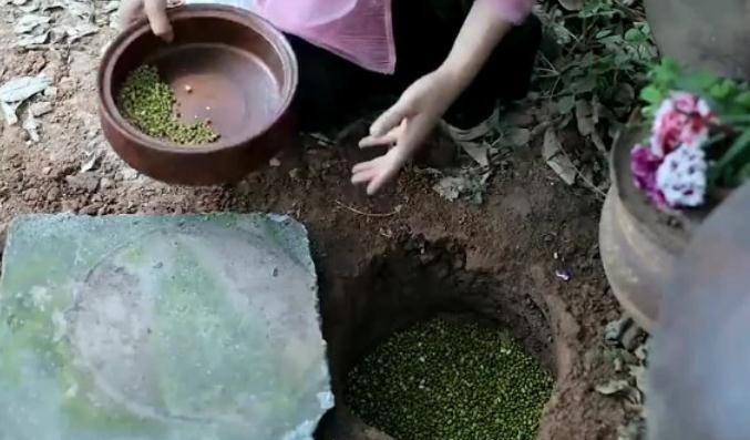 李子柒自制绿豆芽，看到她制作的方法后，网友这也太费心思了吧
