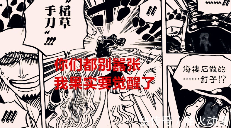 鬼岛|海贼王1037话:罗觉醒之后会瞬间移动,路奇成为五老星候补成员?