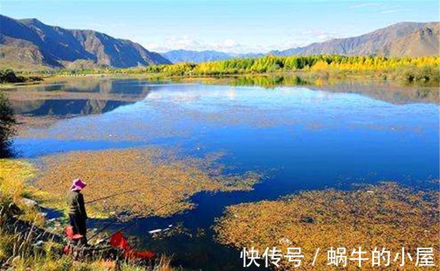 法宝|秋季野钓，用这些必胜法宝，不爆护是不可能的
