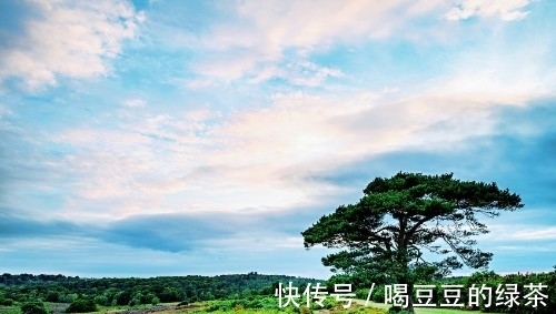 恩惠$《菜根谭的智慧》经典名句解评(六十)