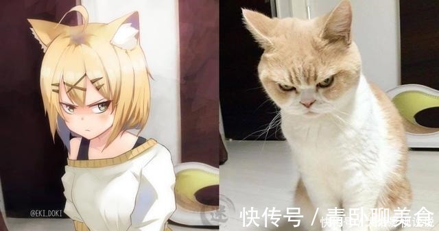 机车娘|万物皆可“拟人化”,躲过可爱的舰娘和机车娘,却羡慕猫狗的爱情