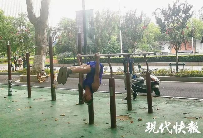 杨千里|大爷才是公园里的“高级玩家”