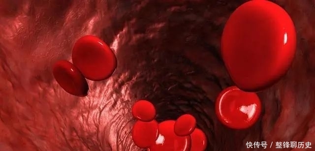 爱吃肉和爱吃素相比,哪个易健康?终于有确切的答案了