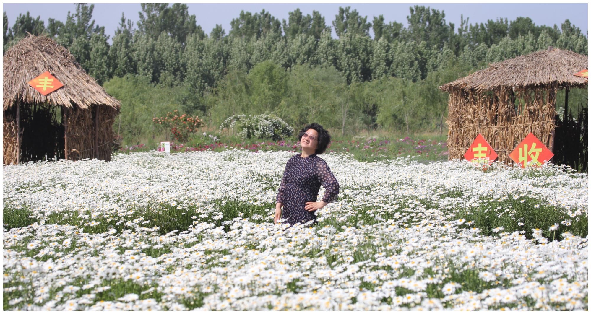 赏花|北京包场赏花秘境，景色堪比普罗旺斯，美得让人窒息