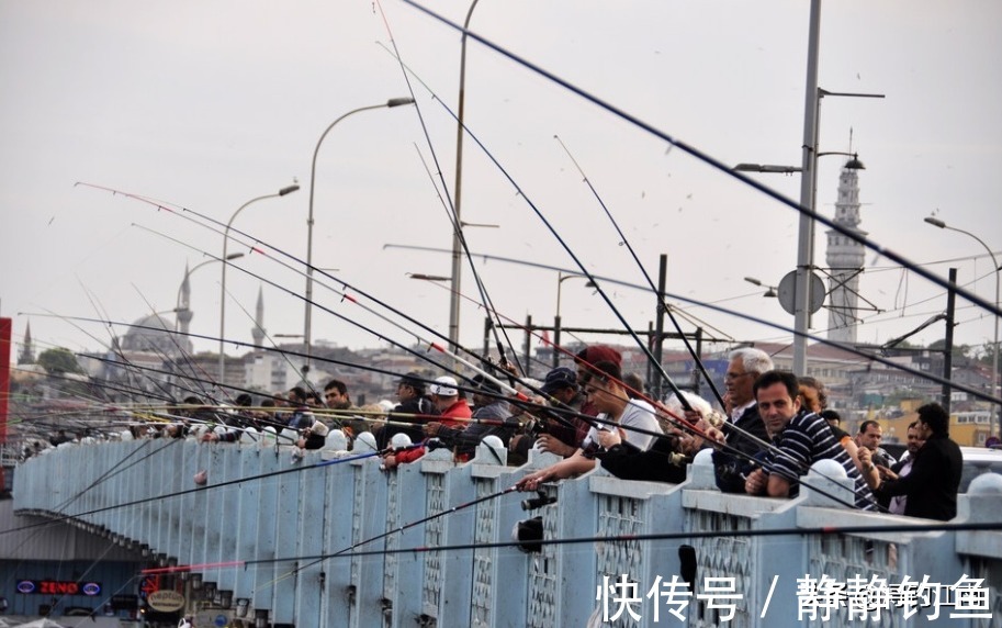 嫩玉米挂钩，再配合“带漂远投”的技巧，人群中“抢鱼”特容易