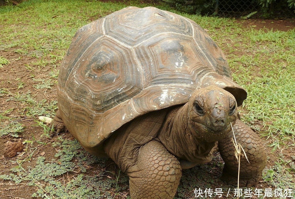 配电箱标识牌Word模板下载