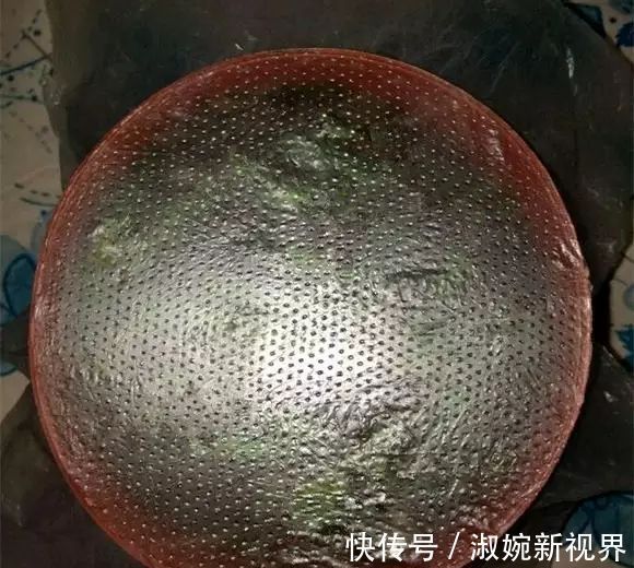 有救|妙招要死的绿萝舍得丢剪一剪，插一插，一个月后爆盆绿油油