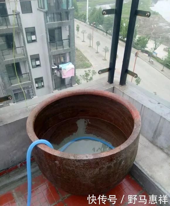 花盆不用买,变废为宝做一个,比买的还好看,分分钟惊艳朋友圈