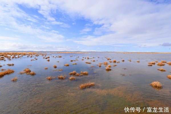 若尔盖花湖不飞花，却是中国最美的高寒湿地