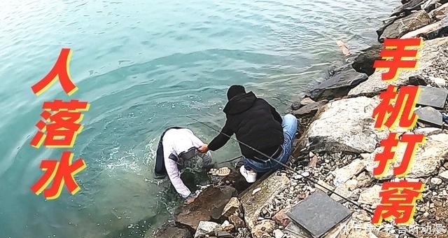 鱼竿被拖后,又会被鱼拉回岸边?不是鱼累了,是它太聪明!