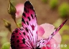 人心!良言20句,见证人心,看透人性看一次胜读十年书