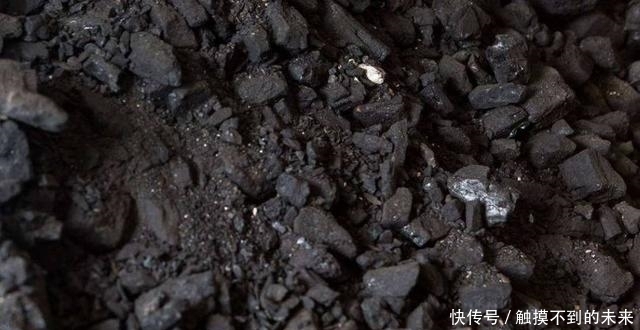 盆栽里放这些东西,养10年都不会积水烂根,原来是这样的做法!