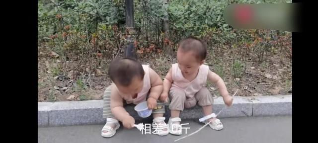 双胞胎相差10斤姐姐吃母乳,妹妹吃奶粉,半年后两孩子差距明显