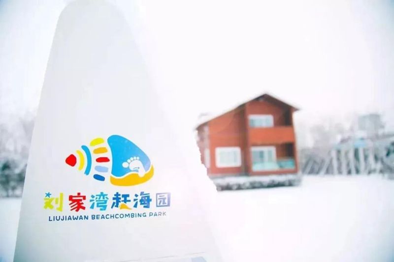 日照|下雪了！日照这些地方的雪景简直美得不像话