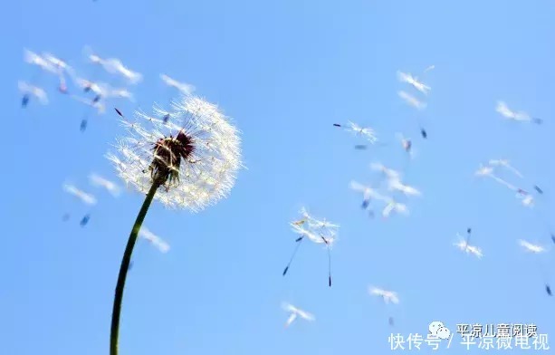 在云端|【学生天地】烟雨平生