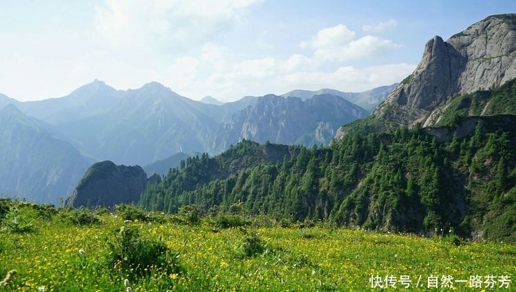 迭部|迭部措美，不忍错过的美丽